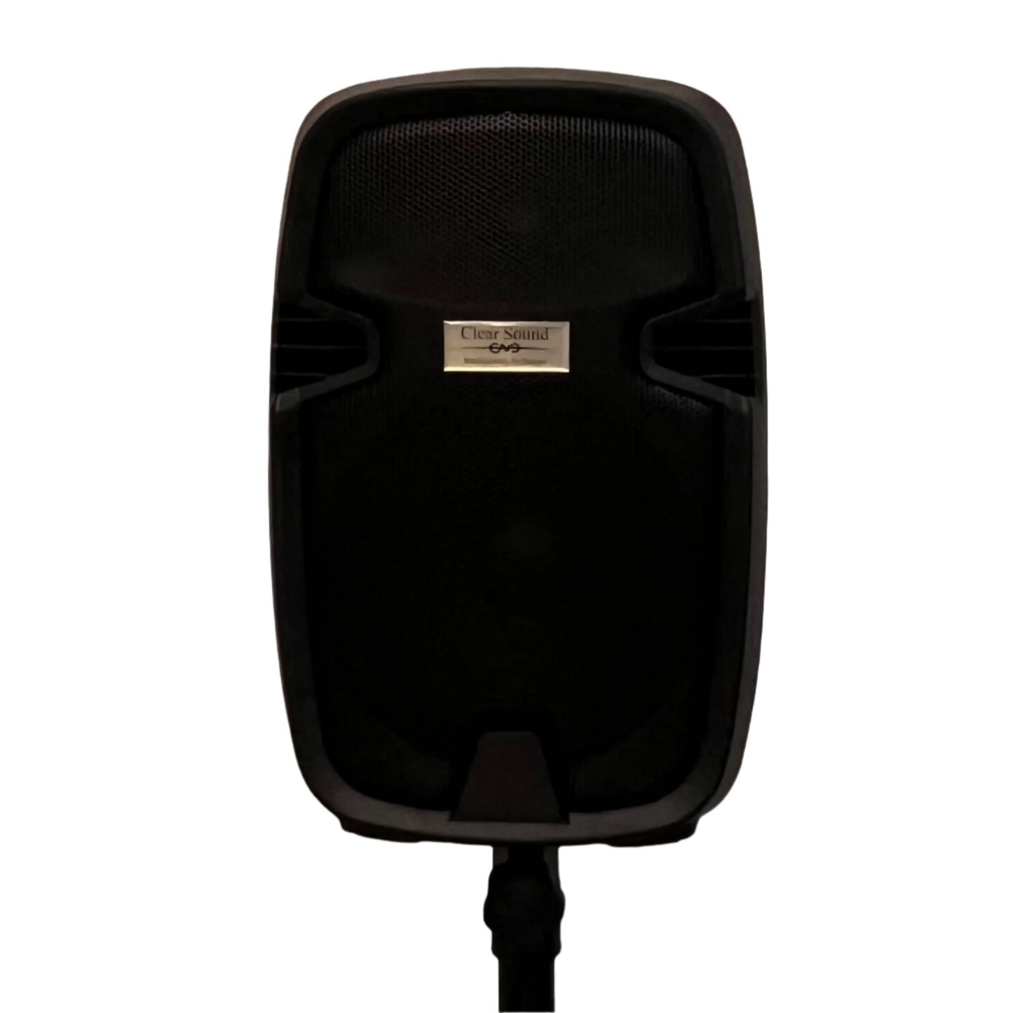 10" Speaker