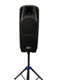 Dual 10" Speakers